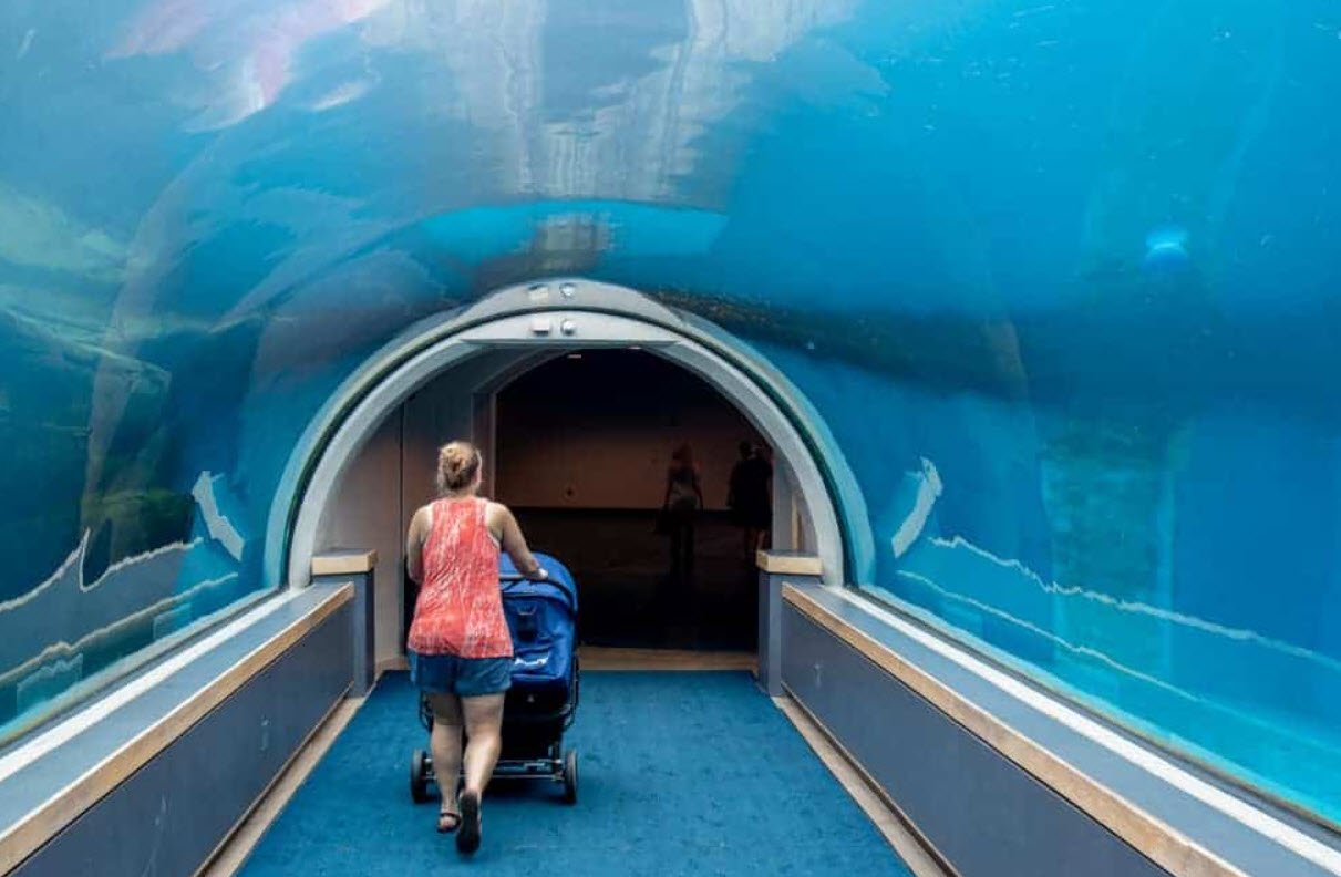 Pittsburgh Zoo and Aquarium, Pennsylvania, USA